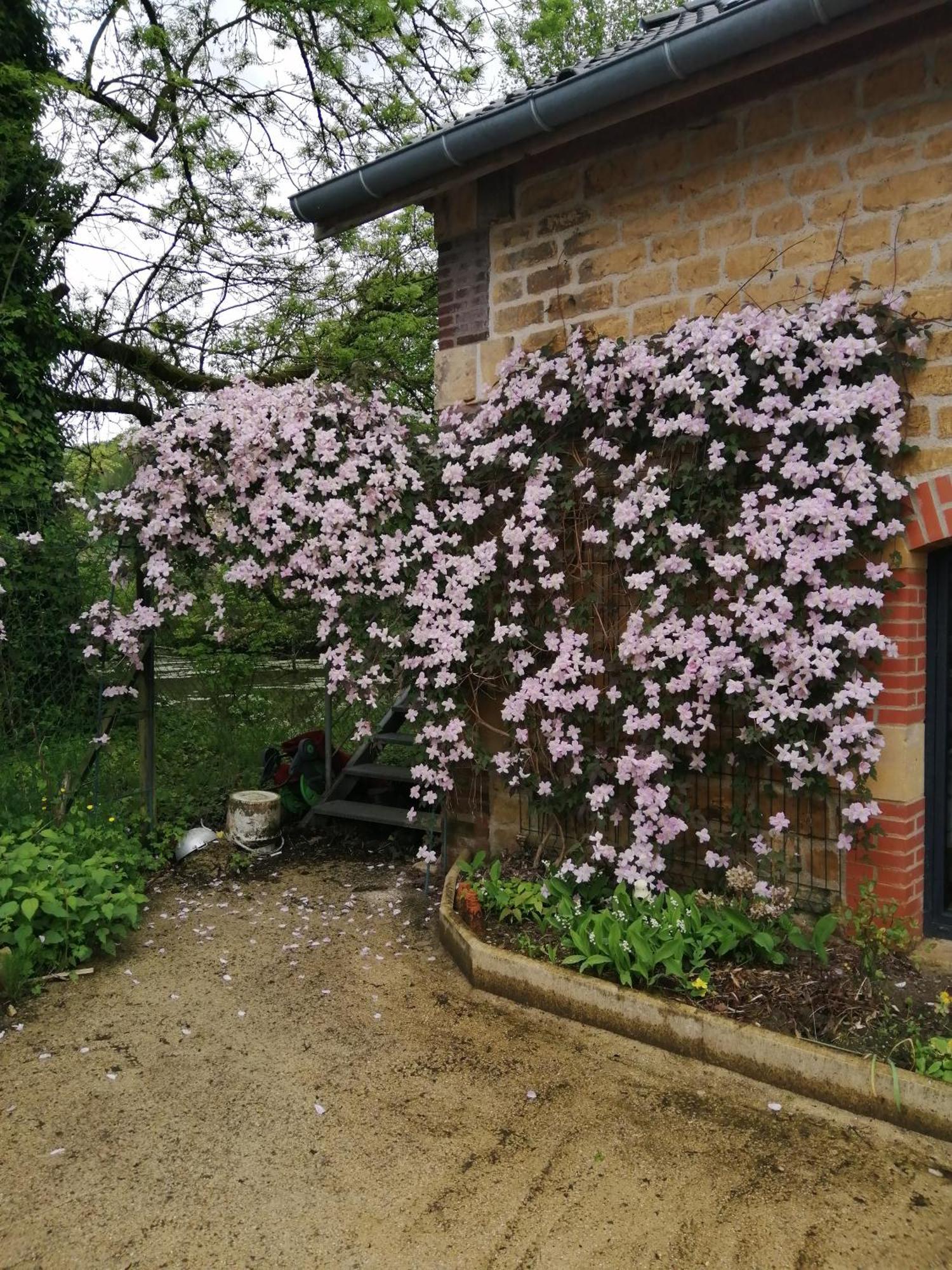 Villa O Jardin De Boutancourt Exterior foto