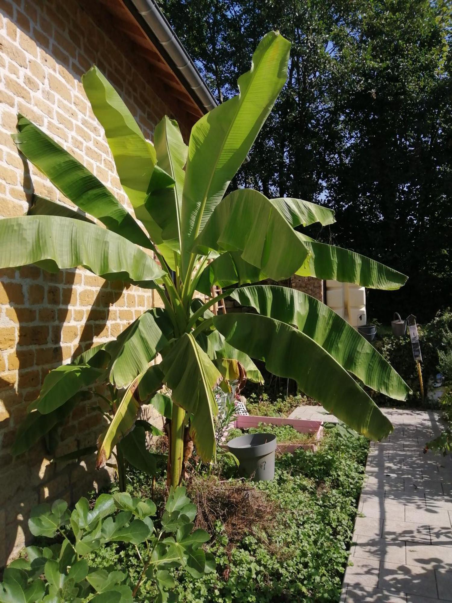 Villa O Jardin De Boutancourt Exterior foto